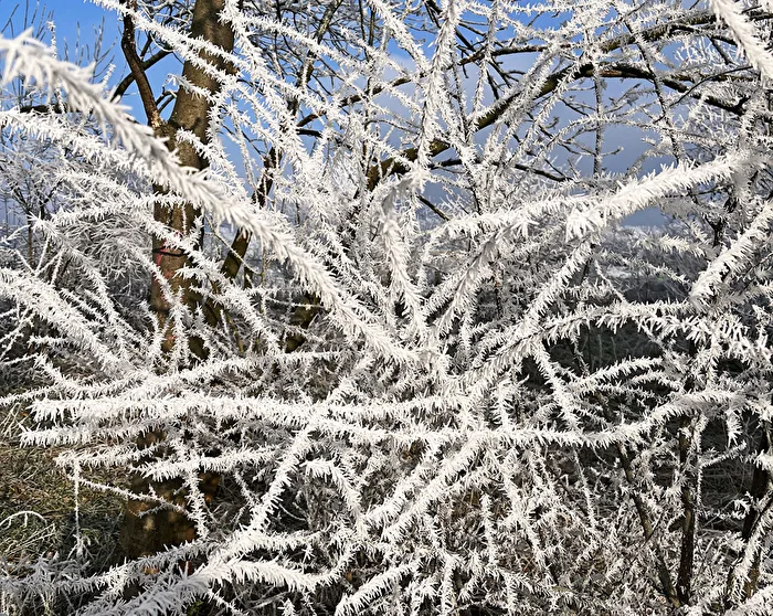 feuchte Luft und eisiger Frost...1