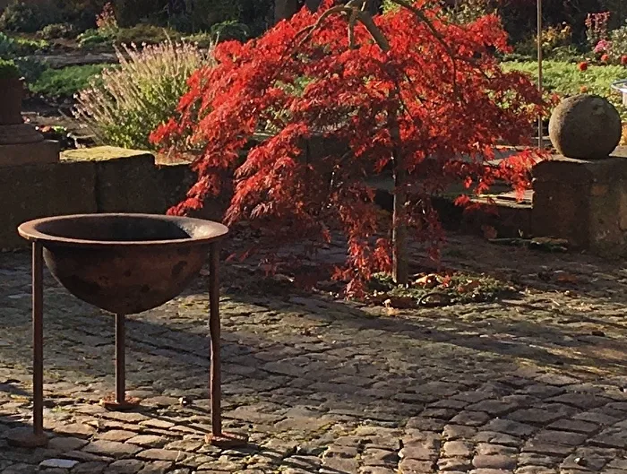 Baum