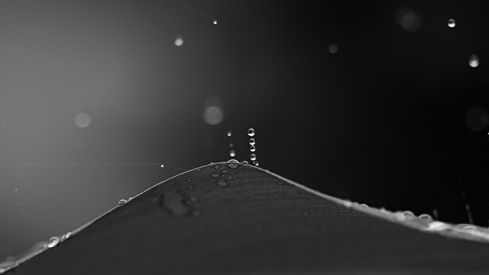 Tears in heaven