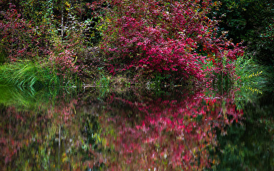 Bunter Herbst...