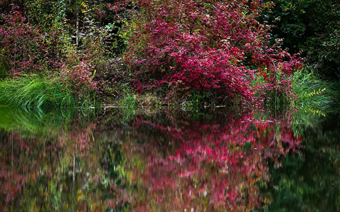 Bunter Herbst...