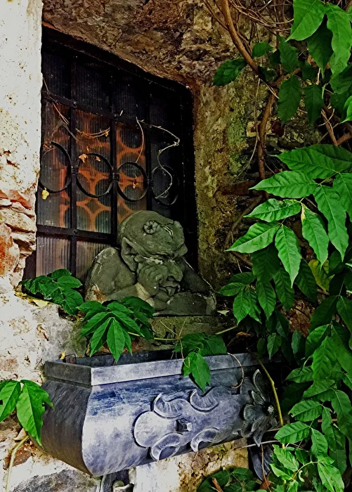 The Window Watcher