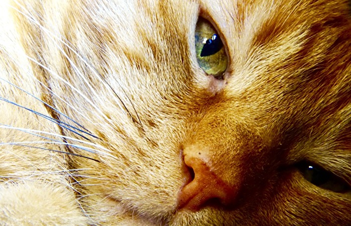 Unser kleiner Liebling