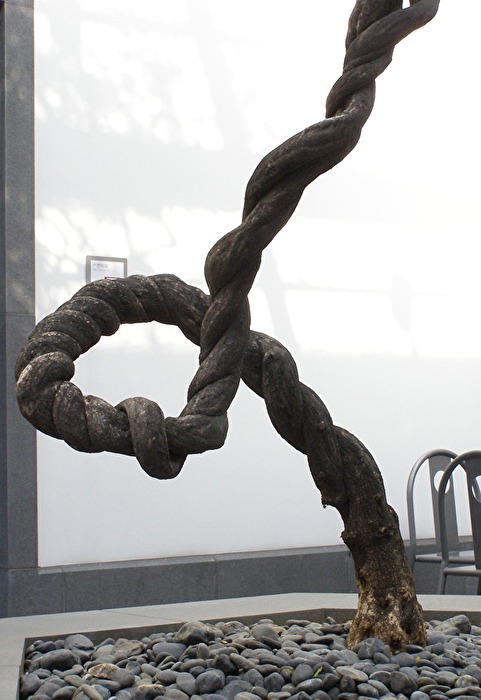 SuZhou Museum Baum 3