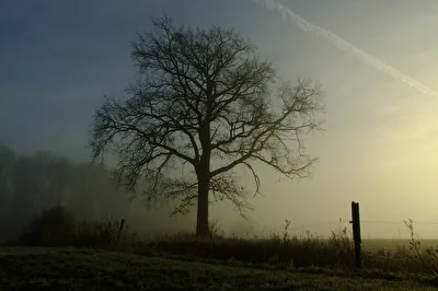 der Streifen am Horizont