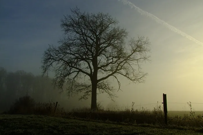 der Streifen am Horizont