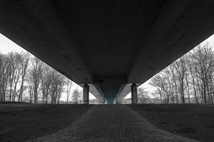 Bridges