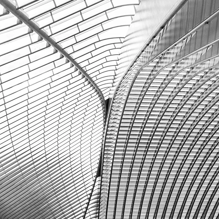 Gare de Liege-Guillemins