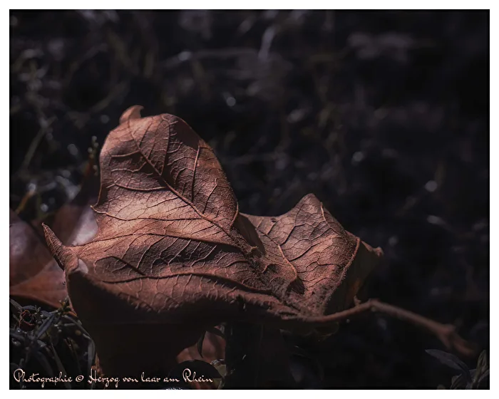 Autumn has arrived.