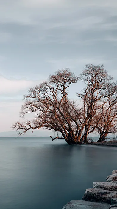 Stillness 2