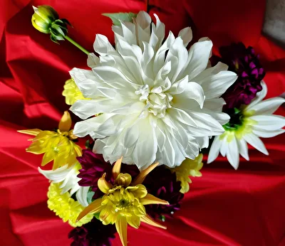 bunte Vielfalt