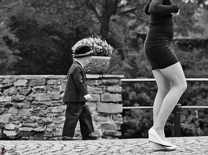 Little Bodyguard. The description is in the small speech bubble on the bottom left of the photo.