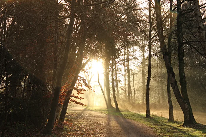 Am frühen Morgen der Sonne entgegen