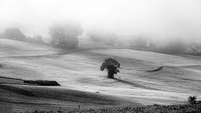 Autumn Land