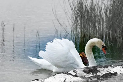 ohne Titel