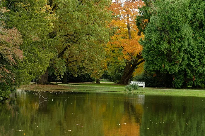 Herbstliche Bäume