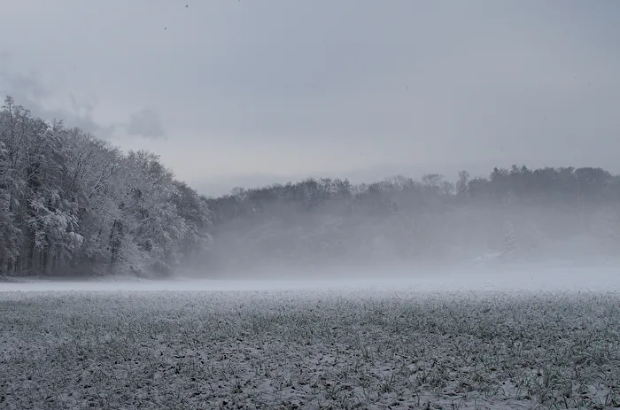 Morning Fog