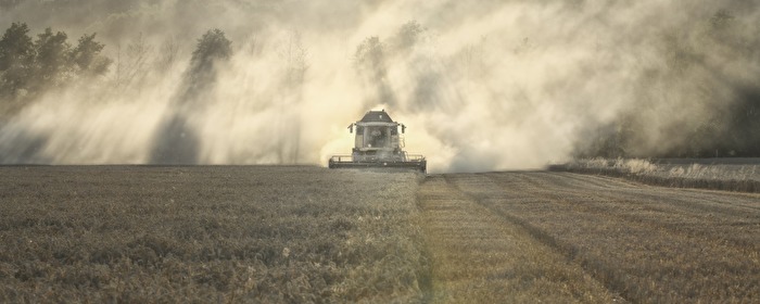 ...bis der letzte Sonnenstrahl erloschen ist..