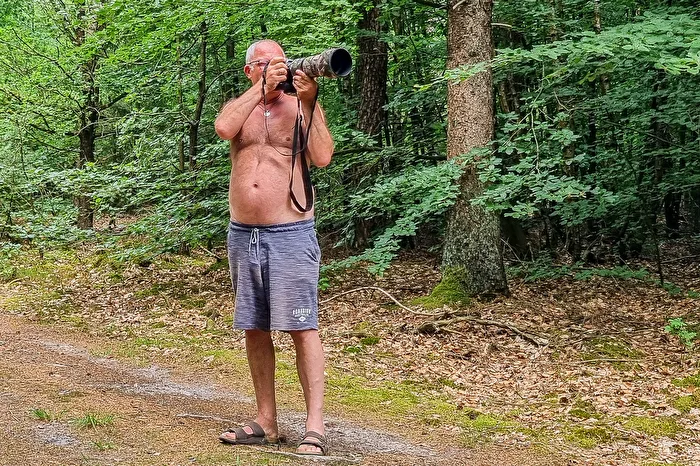 In the forest by the warmth