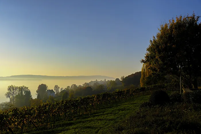 Bodensee 4