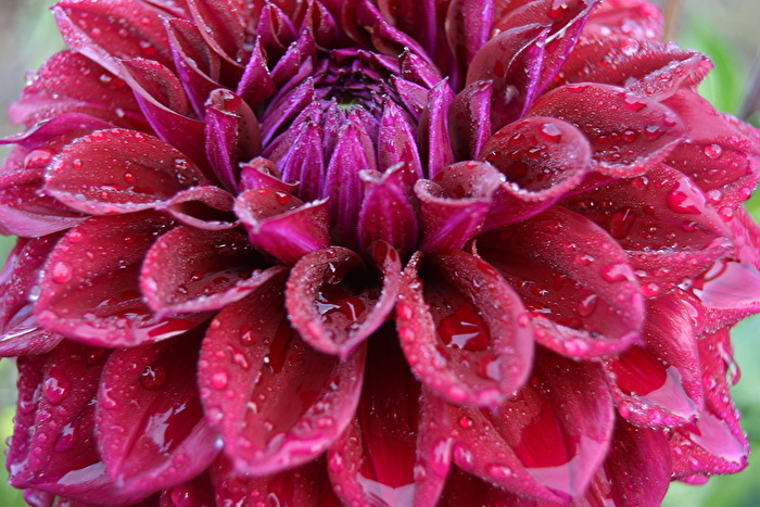 Wasser für kleine Tiere