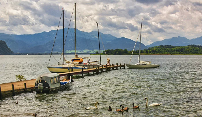 Simssee 1