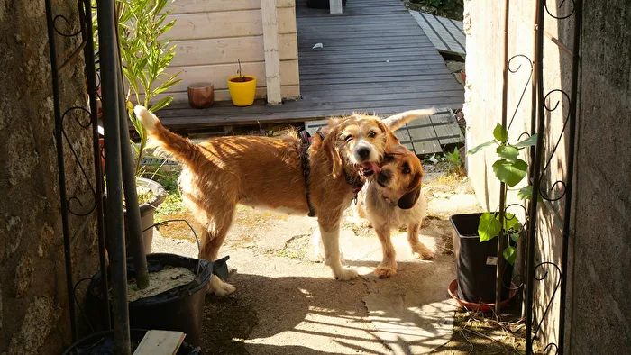 Best Friends