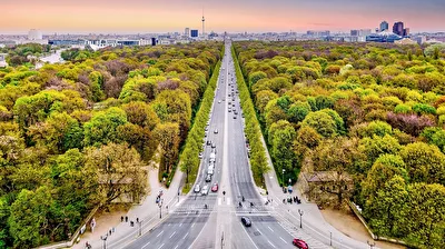 Blick über den Tiergarten