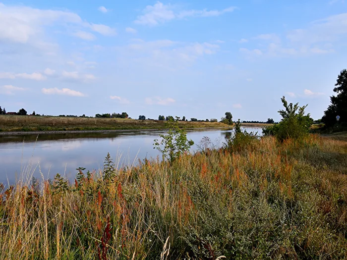 The Elbe near Torgau 2