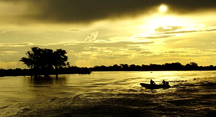 gelb - abends am Chobe