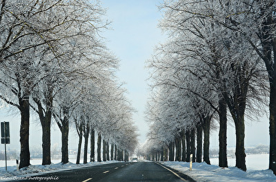 Winterallee