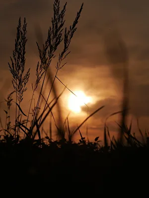 Sonnenuntergang