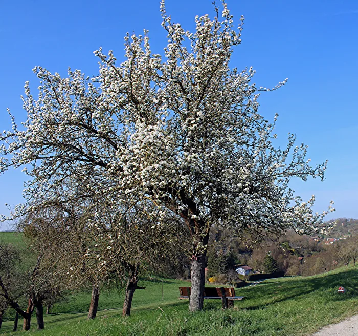 Willkommen im Frühling