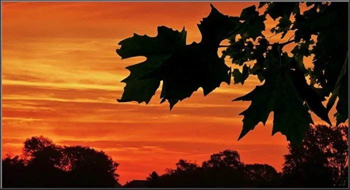 the sun rises soon