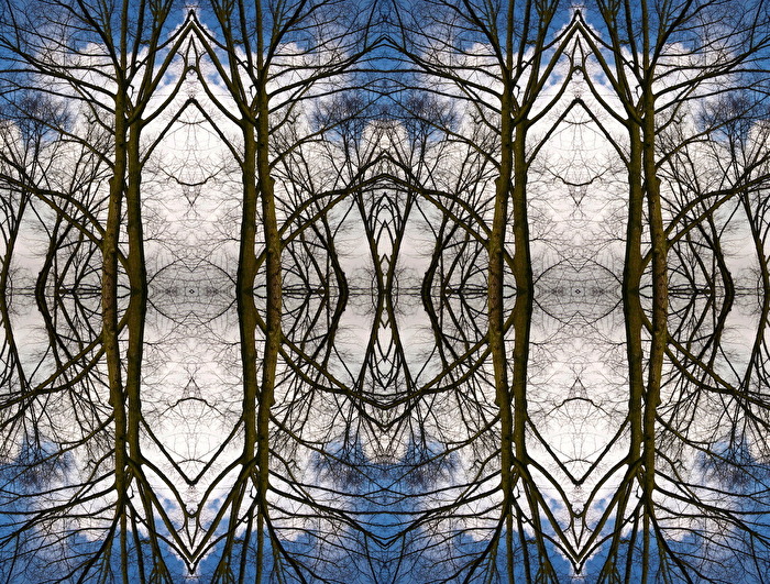 kreativität | °mit zwei bäumen fing's an.