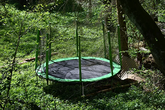 Du vert dans le vert