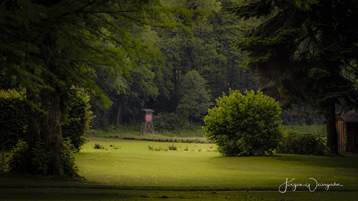 Schlossgarten Favorite