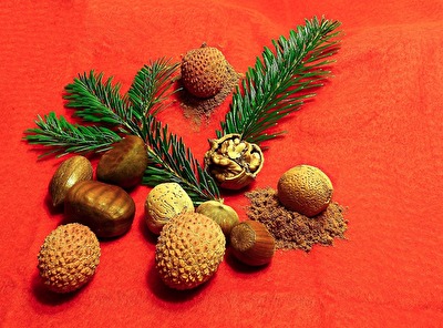 Bald kommt wieder die schöne Zeit...