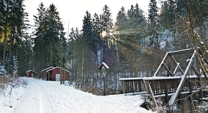 Winter in Vogtland-2