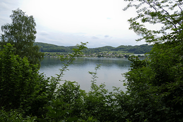 Blick über den Bodensee