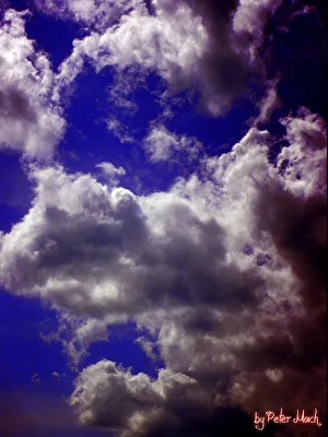 ohne Titel