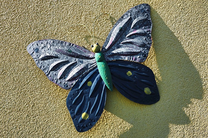 Schmetterling