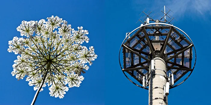 Natur und Technik...