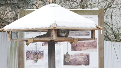 Futterhaus