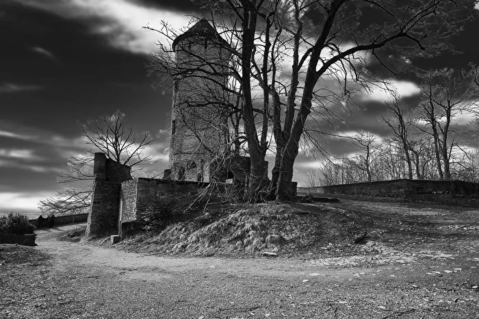 Burg Plesse bei Göttingen