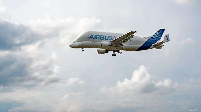 Flying Beluga