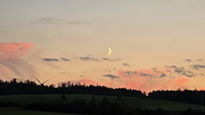 Stillleben