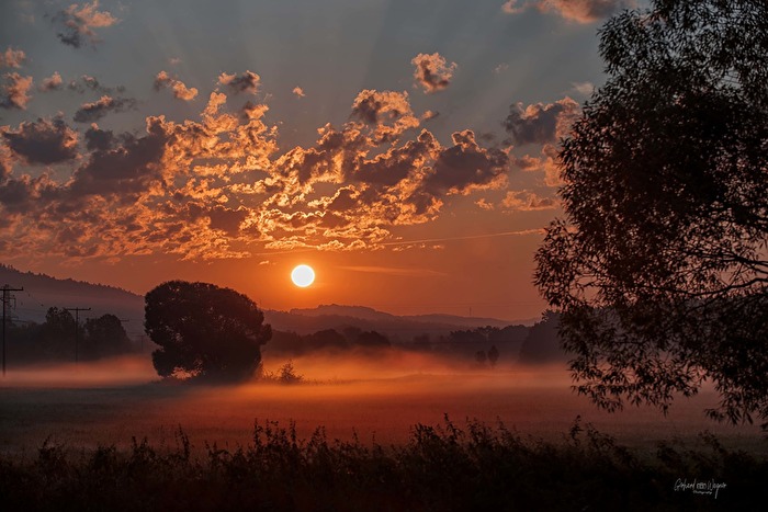 Sonne und Nebel geht immer