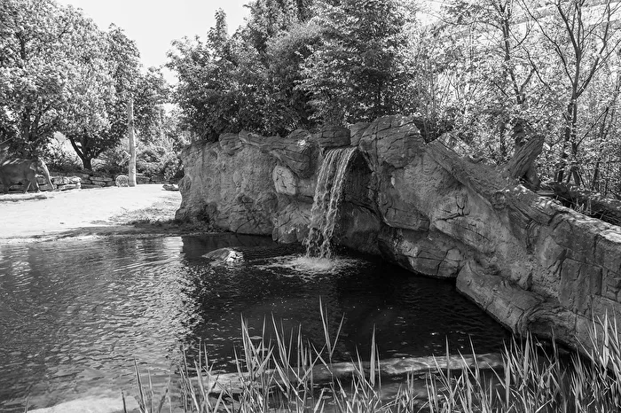 The waterfall in the elephant enclosure