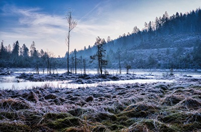 #Morgenstimmung am Huzenbacher See